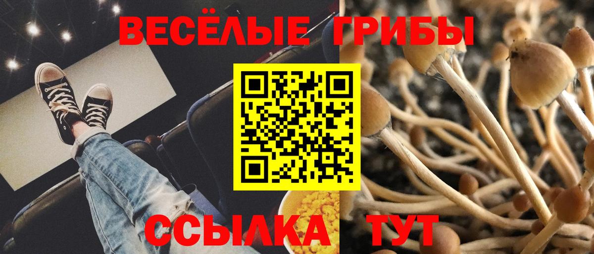 Новороссийск  наркотики  Вход с VPN  Галлюциногенные грибы MAGIC MUSHROOMS 